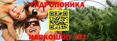 индика Донецк