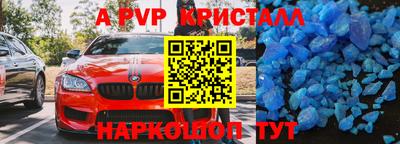 спиды Донской