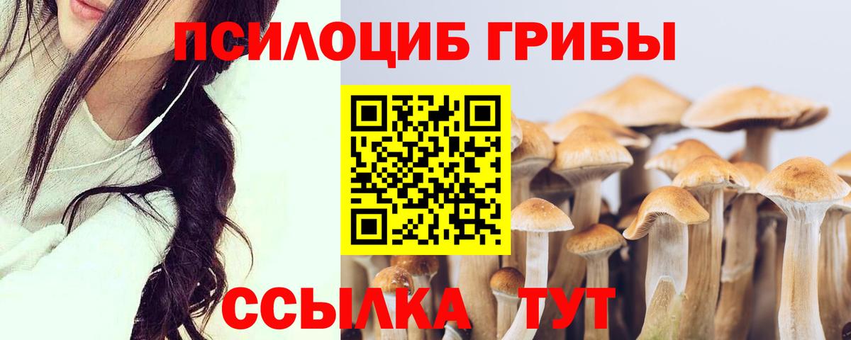 Десногорск  Галлюциногенные грибы мицелий  Вход с VPN  Псилоцибиновые грибы Cubensis 